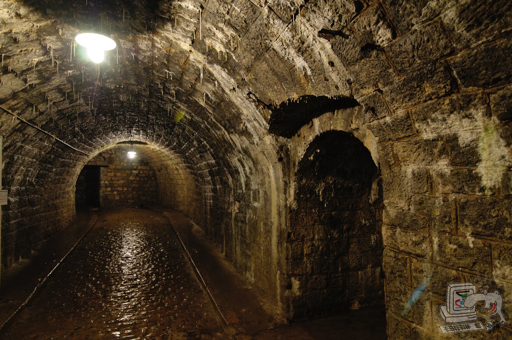 vrb_5656